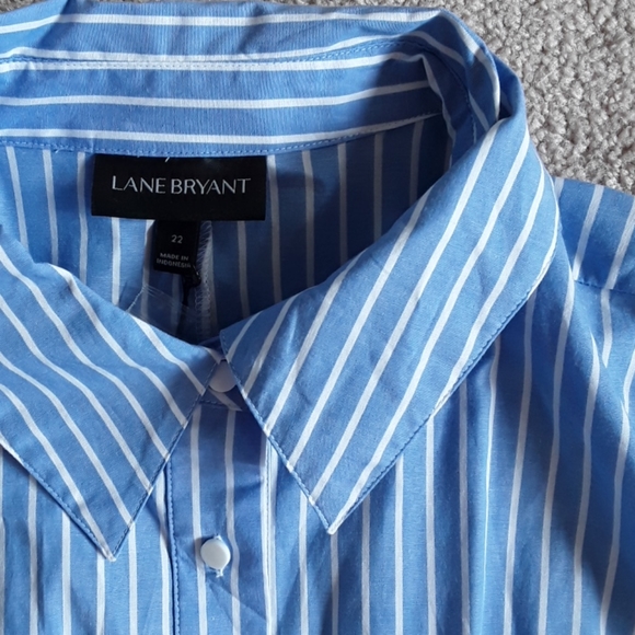 🌲NWT blue and white collared shirt lane Bryant 22 - Picture 3 of 5